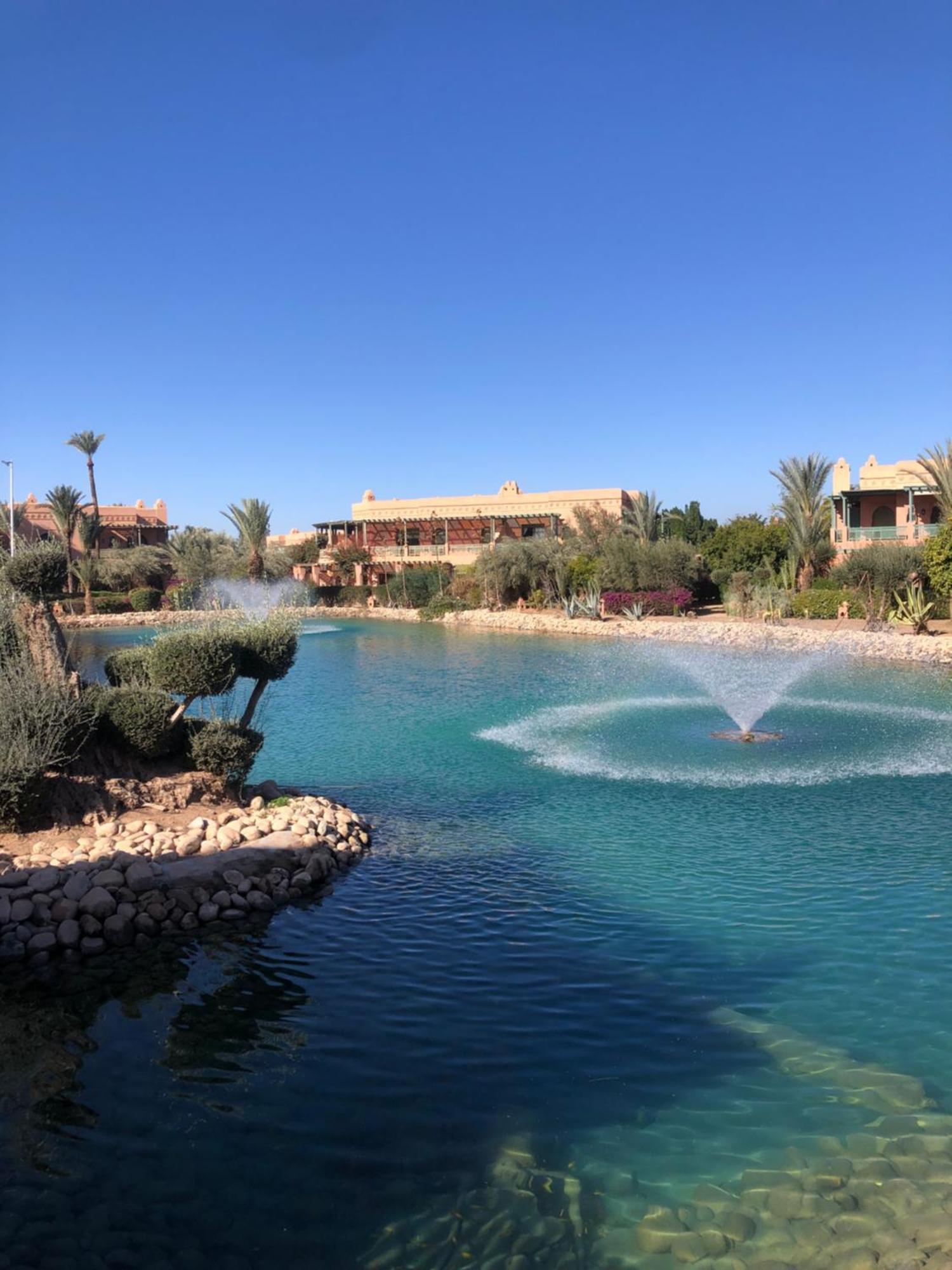 Palmeraie Village 2 - Cosi Appartement En Rez De Jardin Marrakesh Exteriör bild