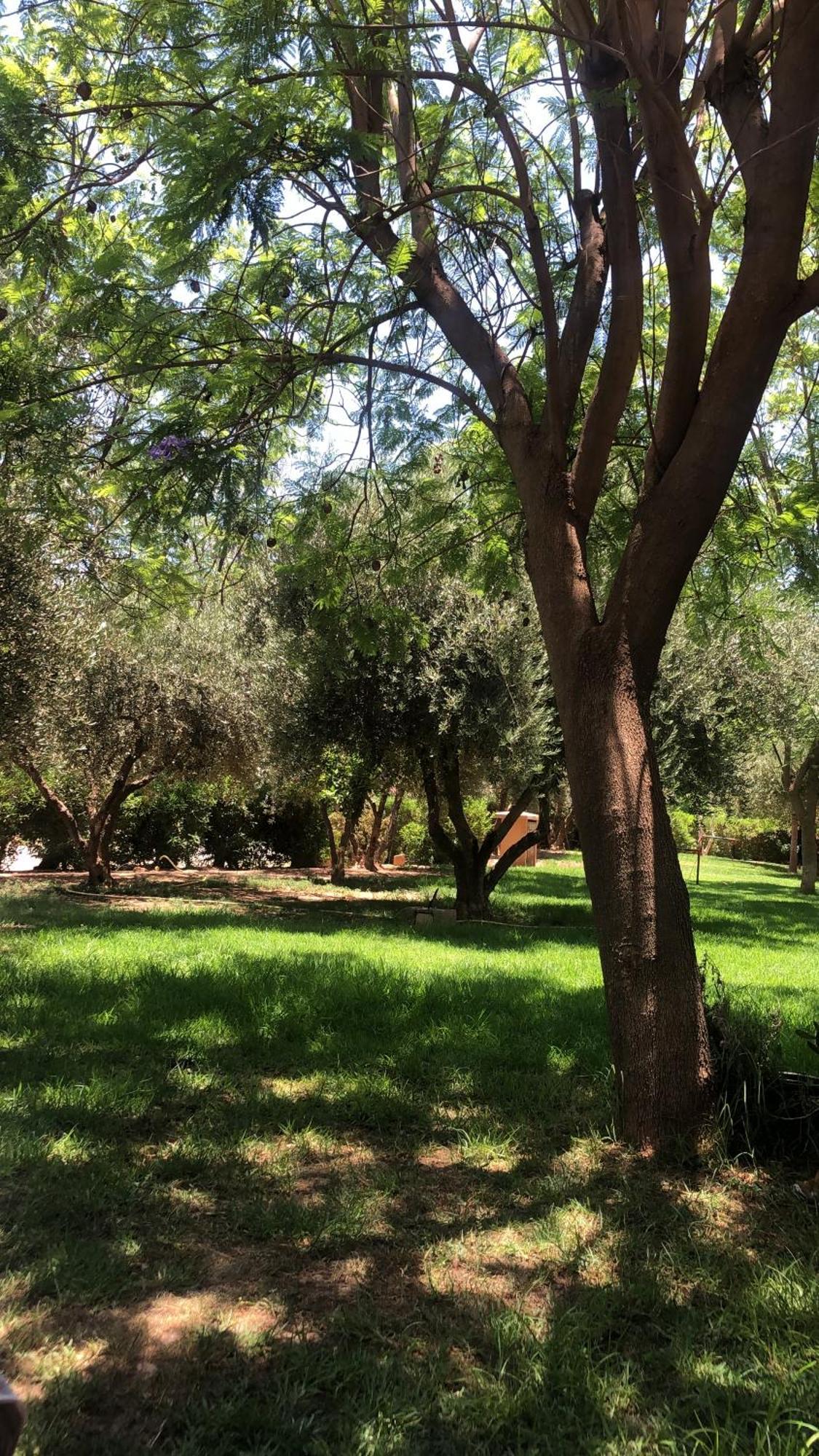 Palmeraie Village 2 - Cosi Appartement En Rez De Jardin Marrakesh Exteriör bild